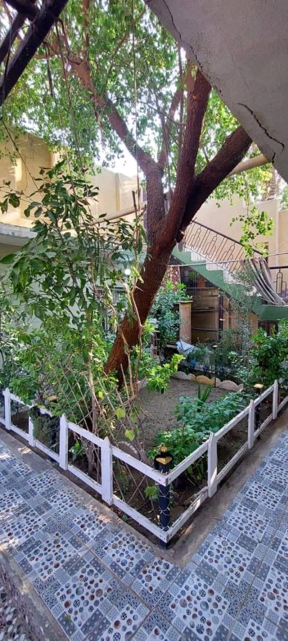 دار للبيع كوت الزهراء مقابل ثانوية البتول للبنات الجديدة  - 2