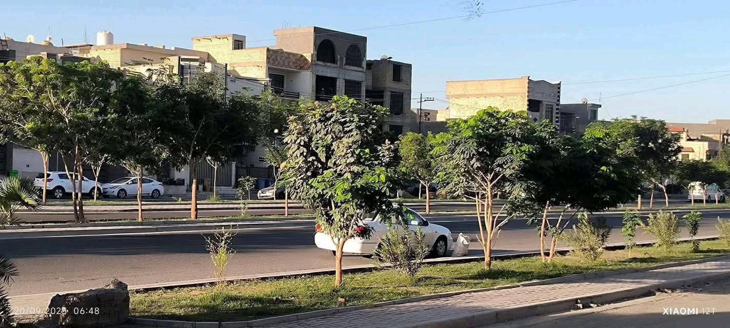 دار البيع  - 4