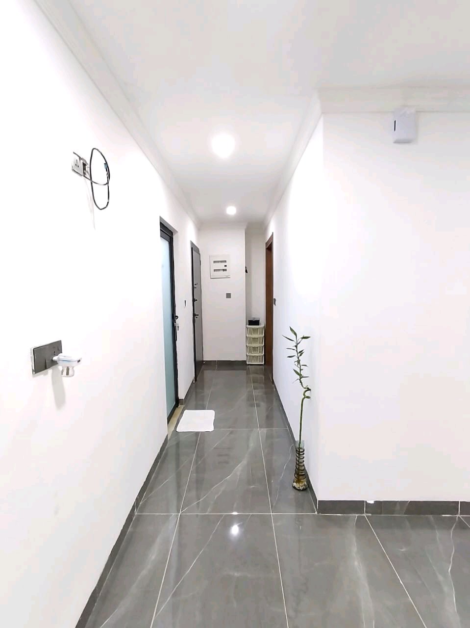 ملكية  - Thumbnail 2