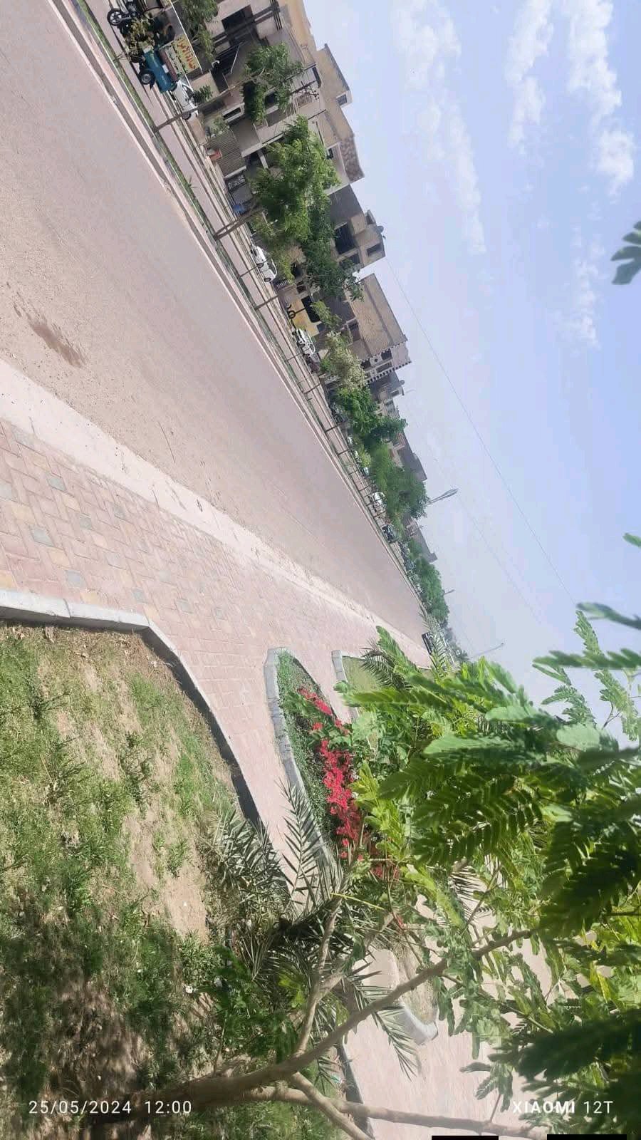 دار البيع  - 2
