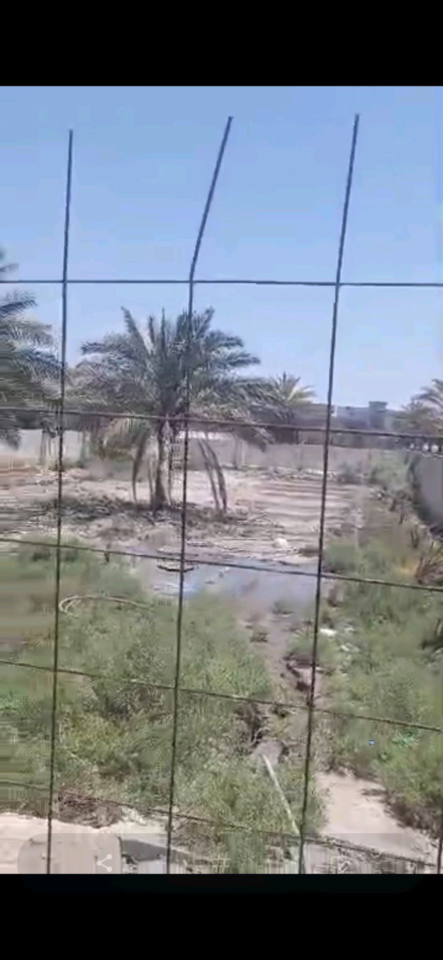 ارض زراعيه 1250 متر يوجد فيها بيت مساحته تقريبا 200 طابق واحد غرفتين وصاله وهول ومطبخ جبير وحديقه مشجره وورد موقعه طريق بغداد قريب مدينه سيد الاوصياء عامود 128 داخل فرع اسواق دولار تقريبا نص كيلو داخل الفرع عامود فرعي رقمه 19 قبل آخر بيت ماي وكهرباء ومولده وماي بئر هم موجود عقد ٢٥ تواصل ٠٧٧٤٠٤٨٢٢٢٠ - Thumbnail 3