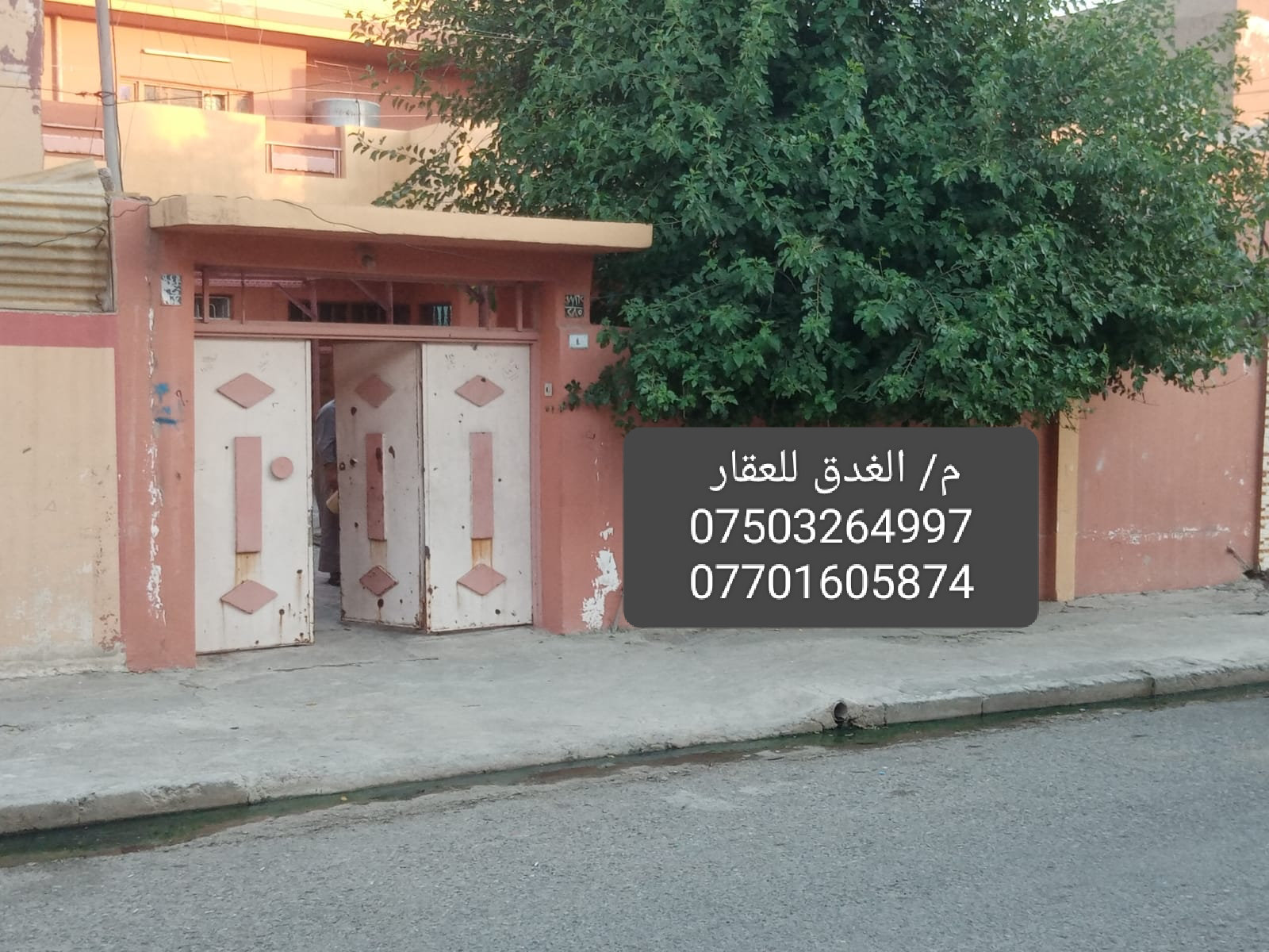 سليمان مرعي. فهيمه للبيع