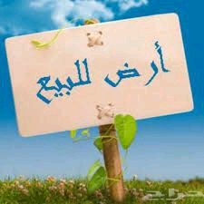 أرض سكنية 200م² للبيع - حي النداء منطقة 48، النجف