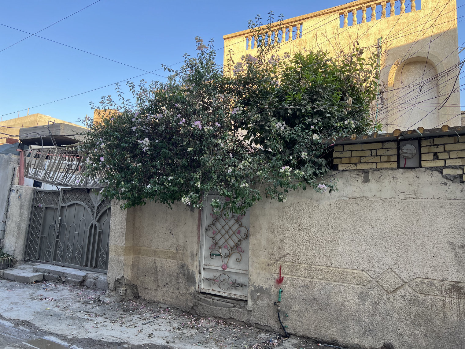 طابو داخل فرع  - Image 1