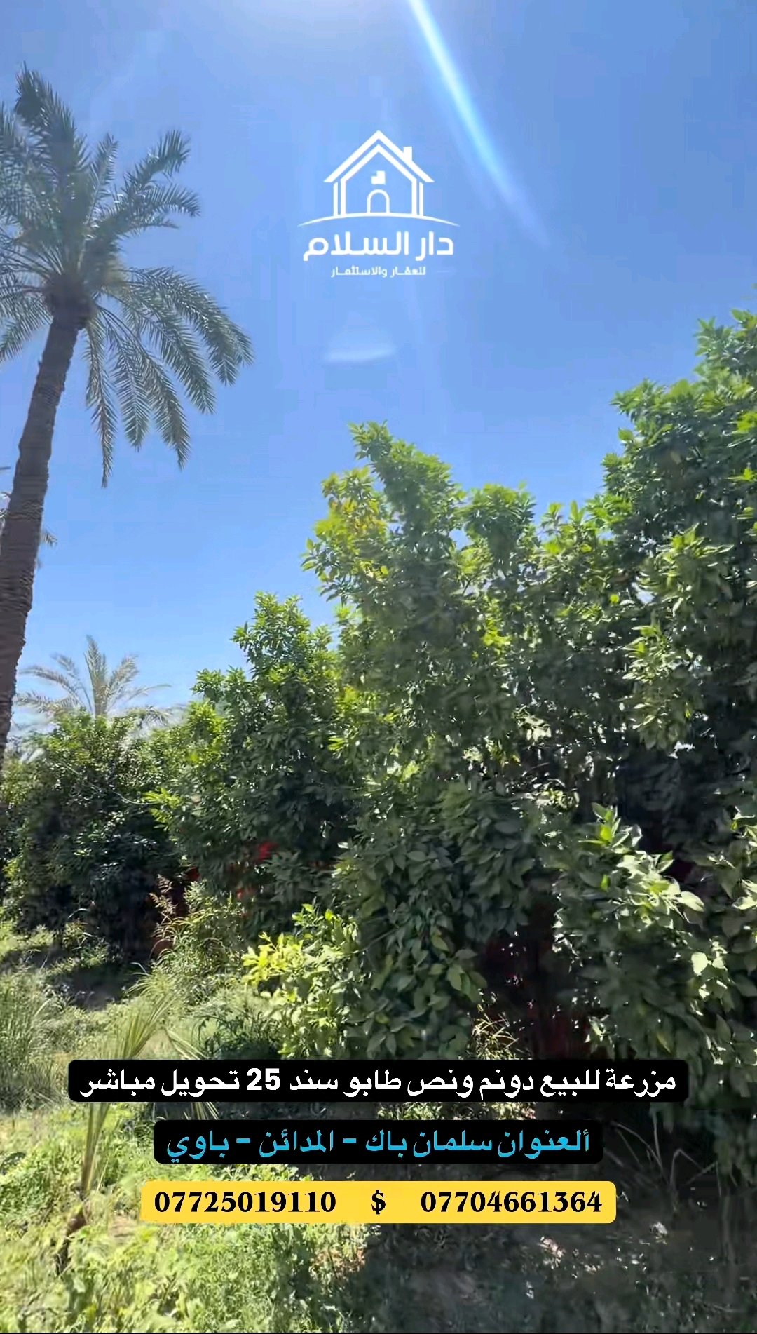 بيت ومزرعة  - 3